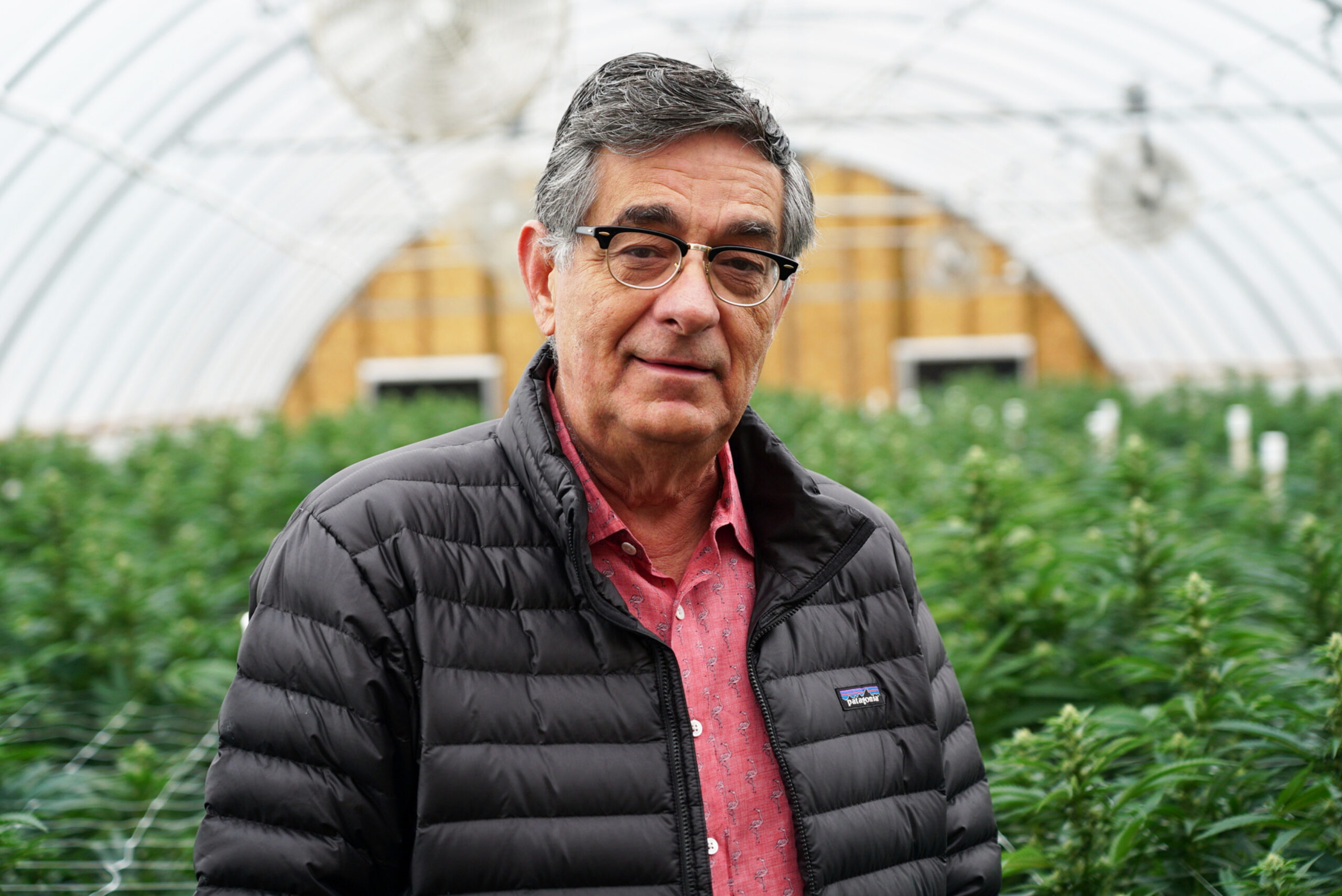 Weedsday Playlist: Belushi’s Farm GM Chris Karakosta Shares 5 Songs for Your Next Smoke Sesh