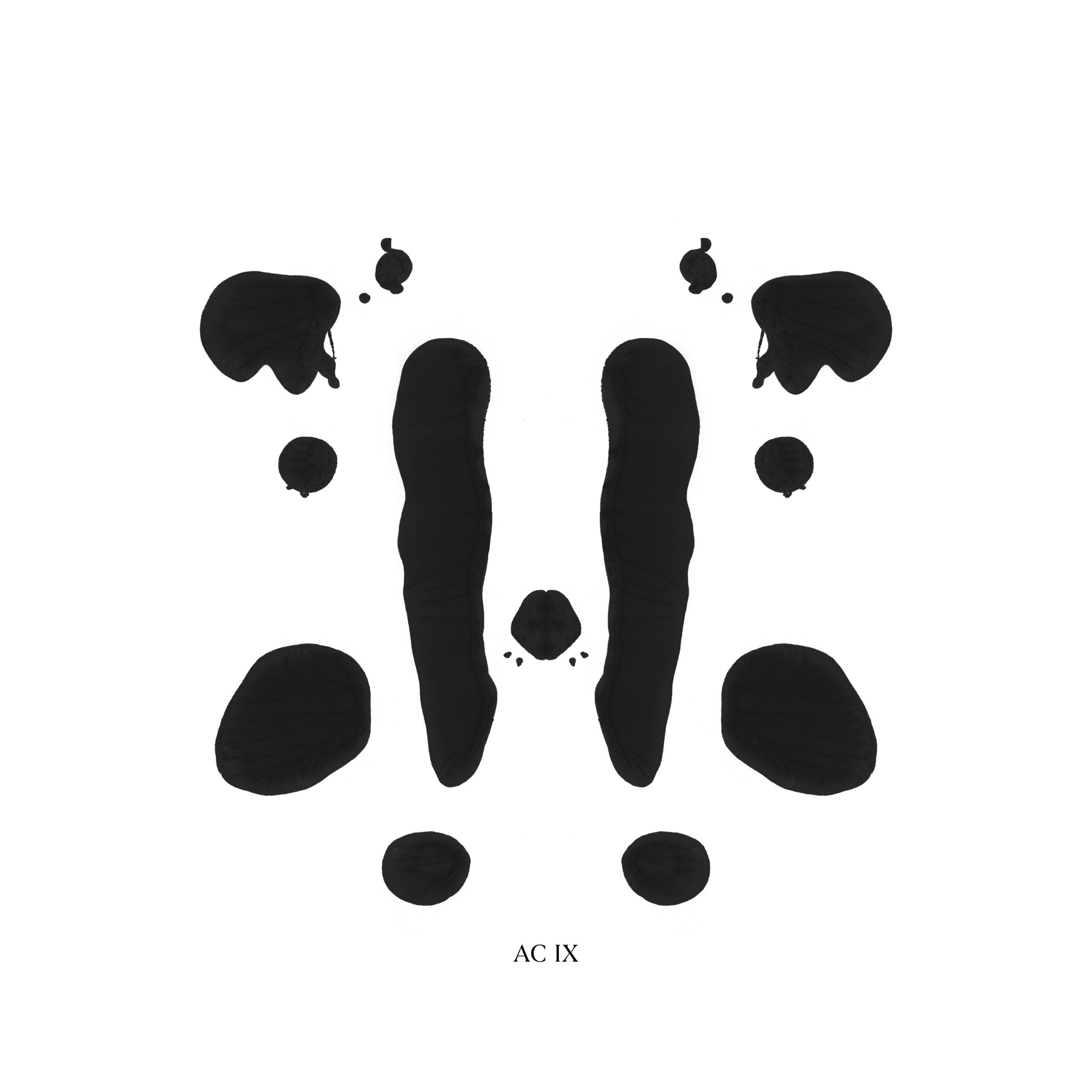 Premiere: LSN – “I Don’t Know What That Means” (ALBION009)