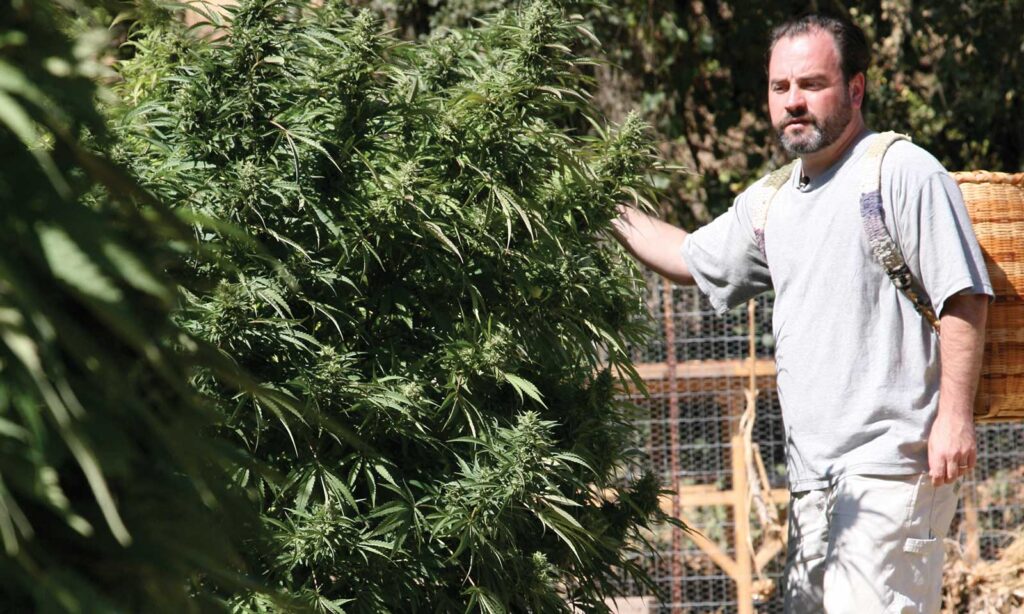 Weedsday Playlist: Dan “Danny Danko” Vinkovetsky Shares 5 Songs for Your Next Smoke Sesh