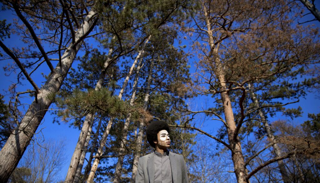 City Guide: Vienna with Kimyan Law