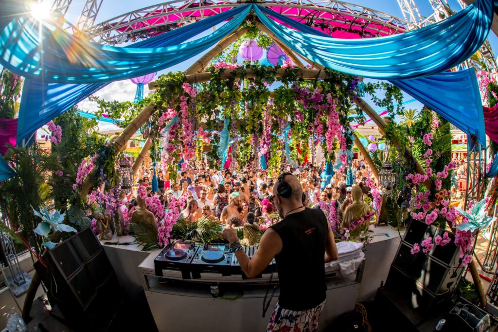 WHAT EXACTLY IS ‘ORGANIC HOUSE?’