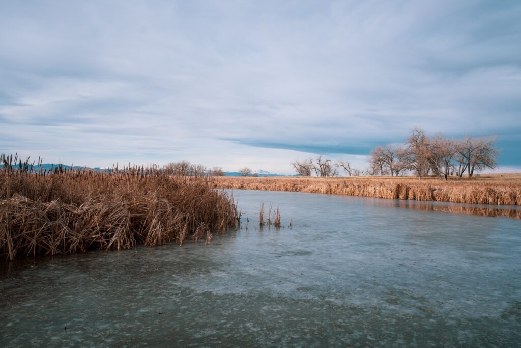 15+ Free Nature Images That You Can Use However You Want