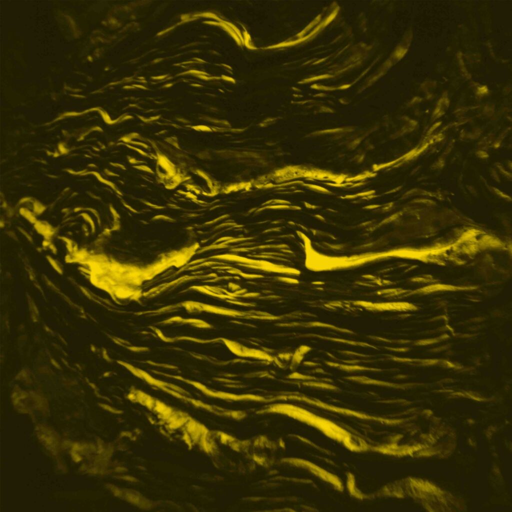 Lights Out Premiere: Bxentric – The Carrier [Nanda Records]