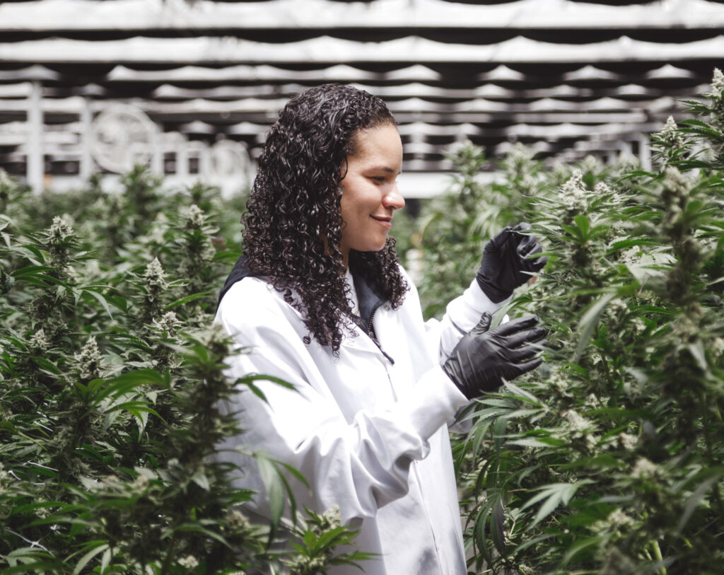 Weedsday Playlist: MD Numbers Co-founder Marie Montmarquet Shares 5 Songs for Your Next Smoke Sesh