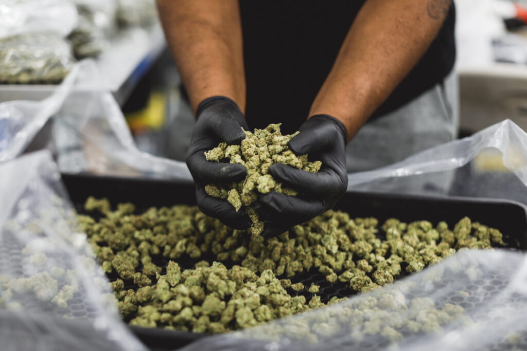 Cannabis Industry Spotlight: Leaders Share Predictions For 2021