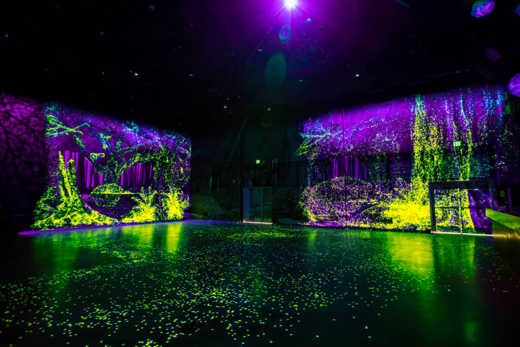 Meow Wolf Announces Denver Exhibit Opening Date & First Two Concerts