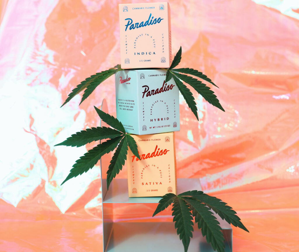 Weedsday Playlist: Paradiso Shares 5 Songs for Your Next Smoke Sesh