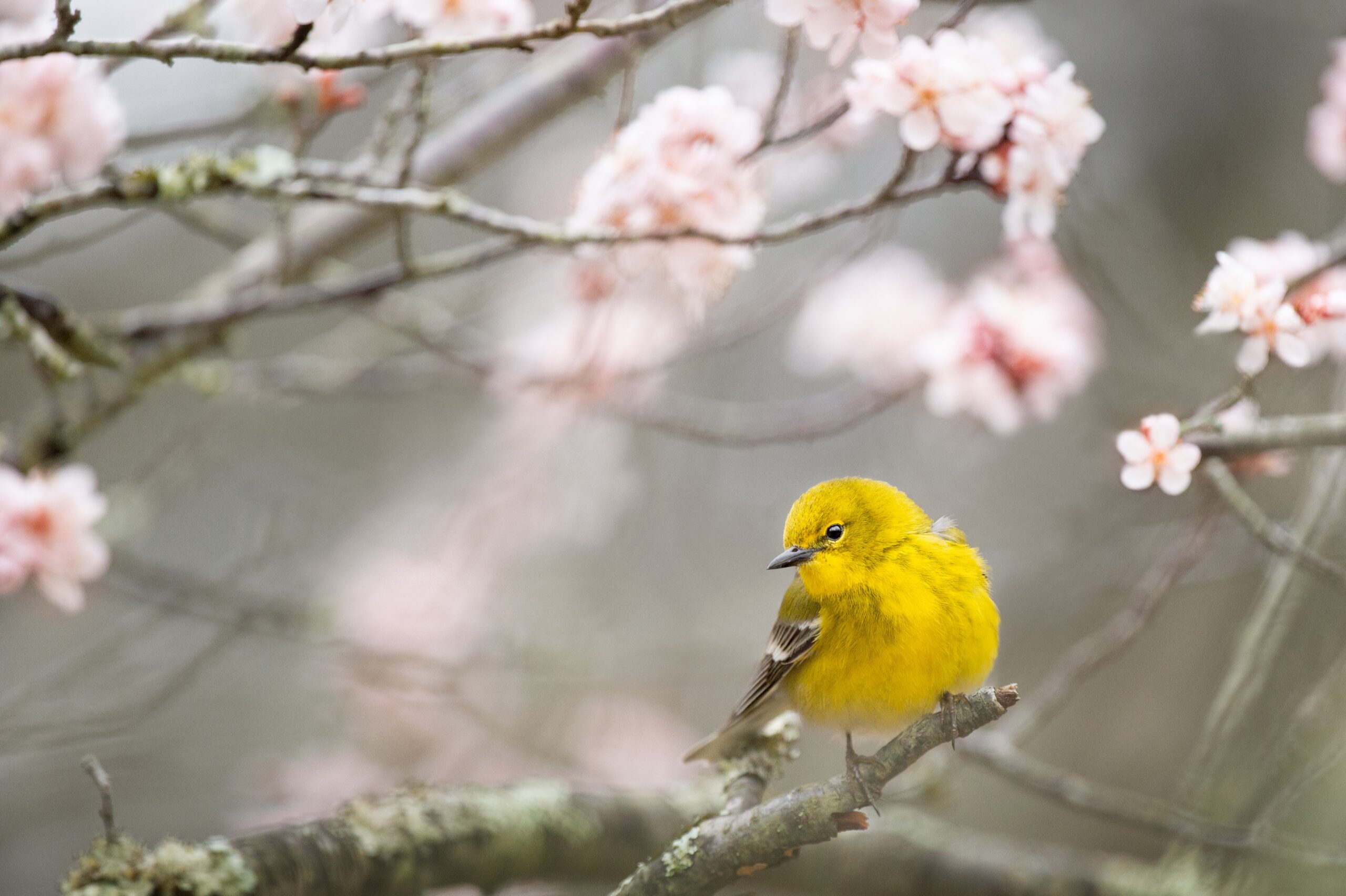 12 DUB AND AMBIENT TECHNO TRACKS TO SNEAK INTO SPRING 2023