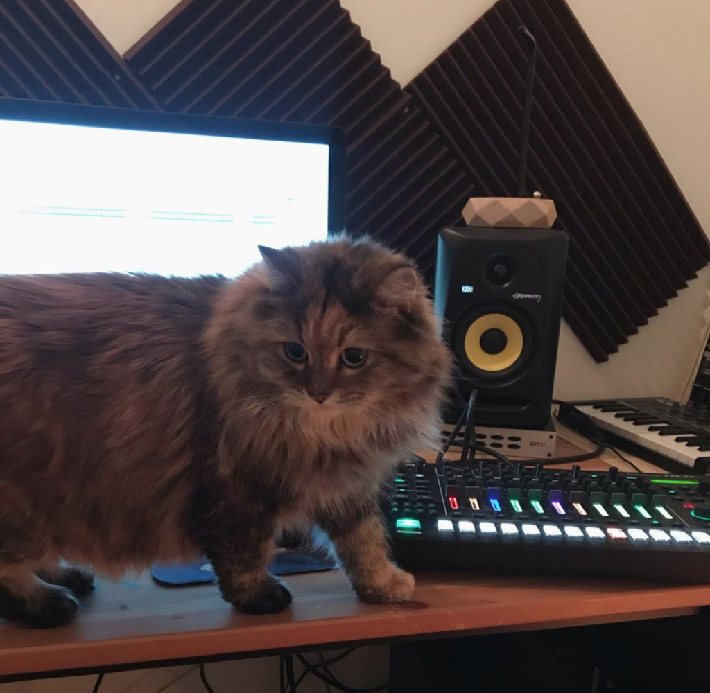 Viral Producer cat, ambientkitty, Releases New EP ‘fur floss’