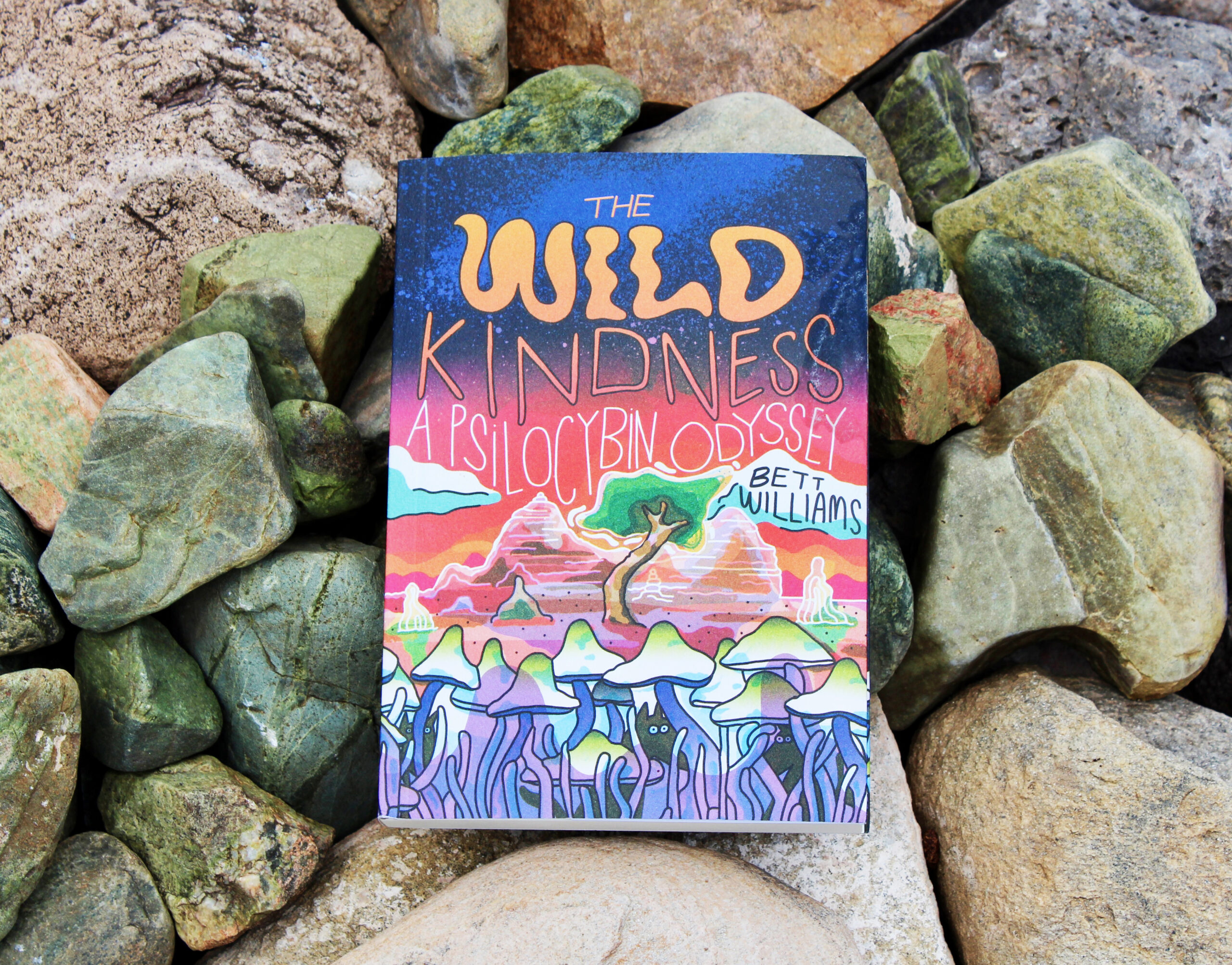 Weedsday Playlist: The Wild Kindness’ Bett Williams Shares 5 Songs for Your Next Psychedelic Trip