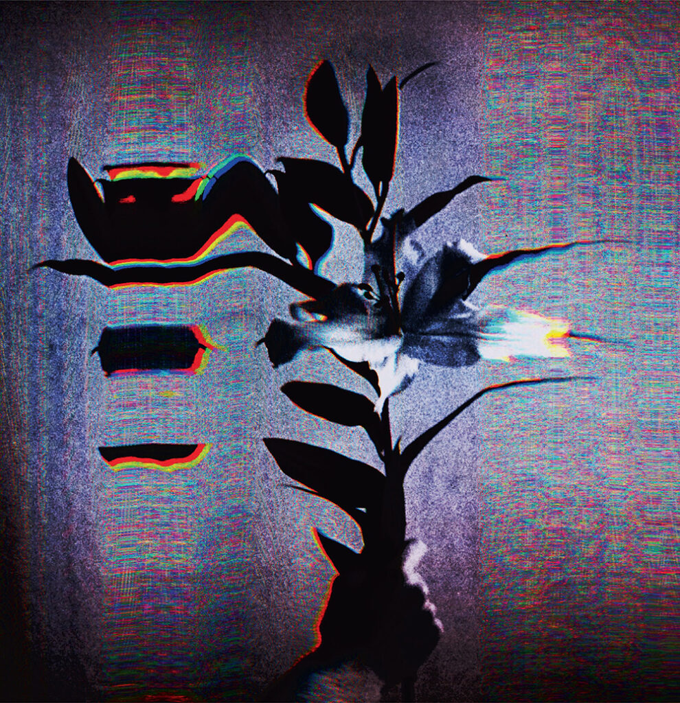 Lights Out Premiere: Populist – Dogma [The Temple And The Low Dive]