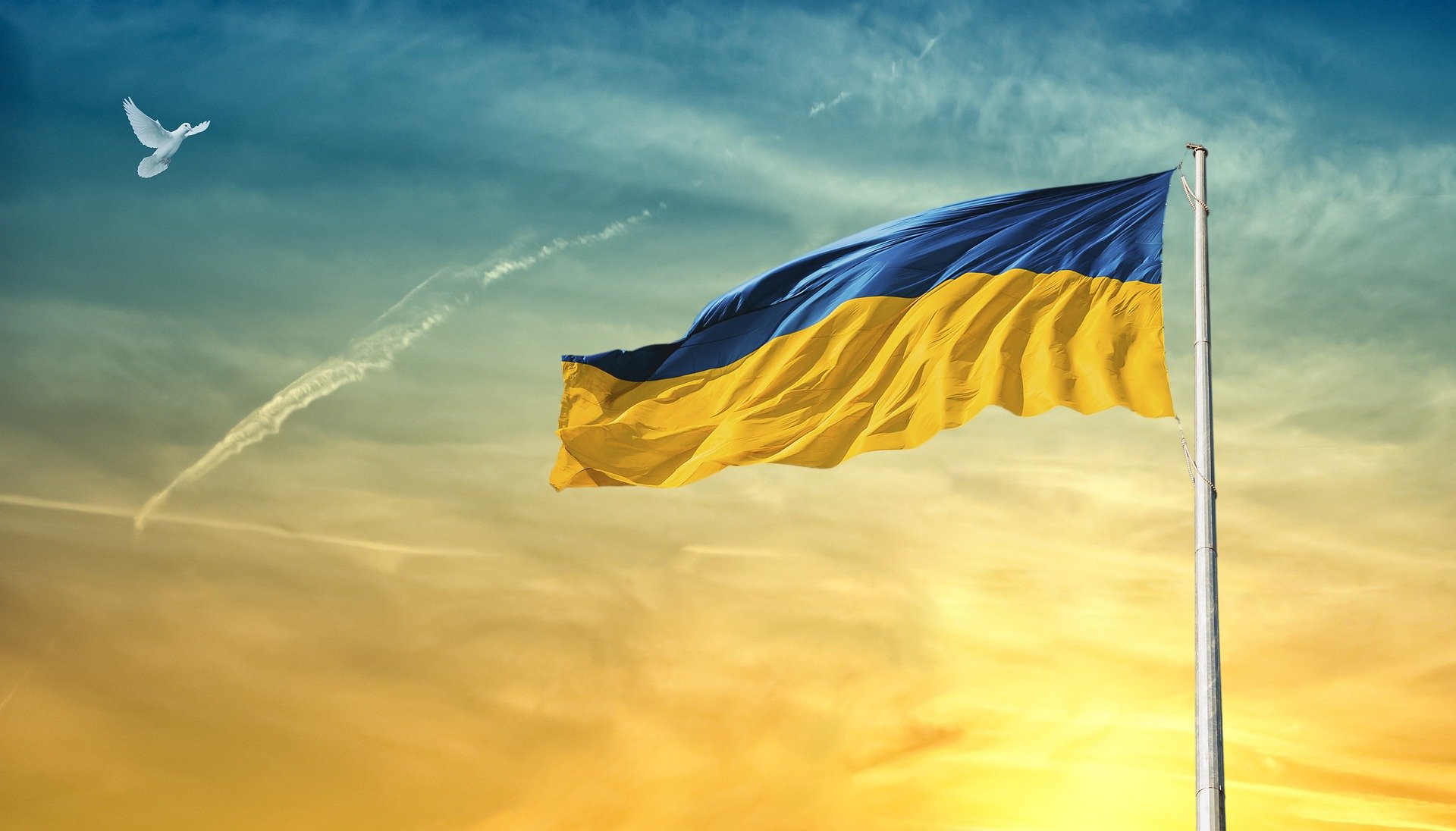 Dance Labels, Promoters, Artists Form Collective To Fundraise For Ukraine Relief Efforts