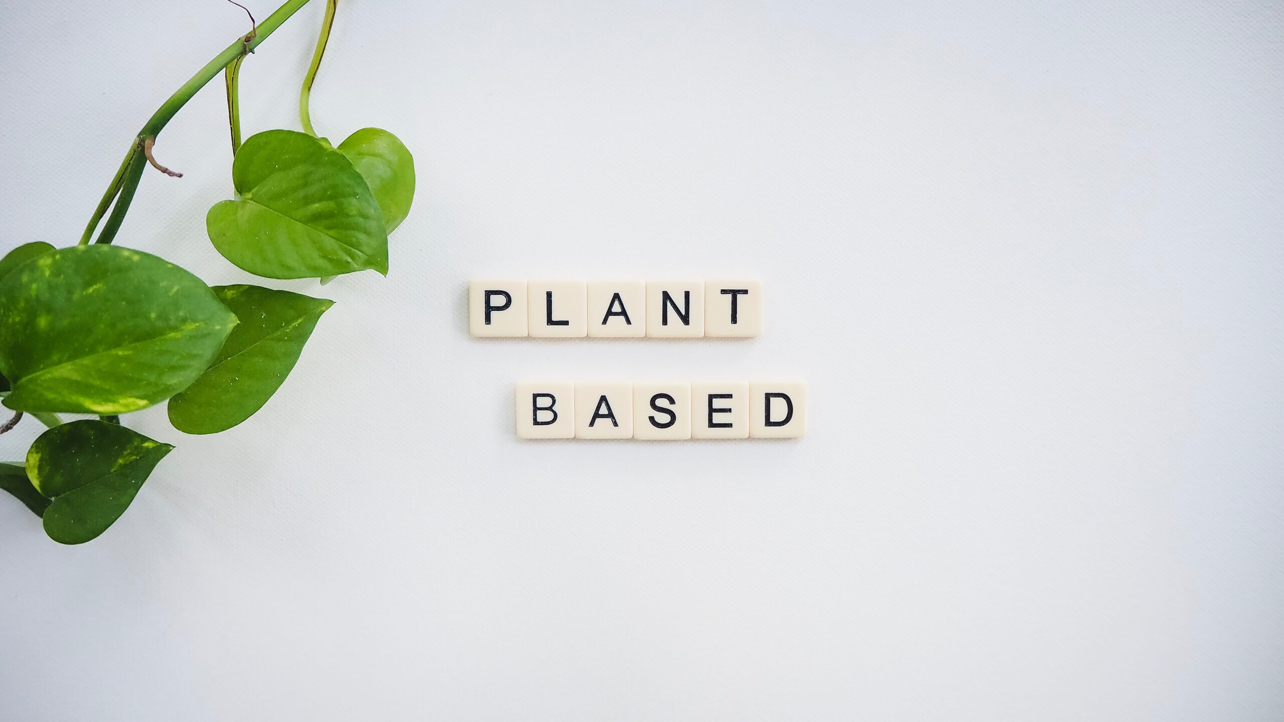 Eating Plants: Gear Guide For Prepping, Storing and Cooking Your Food