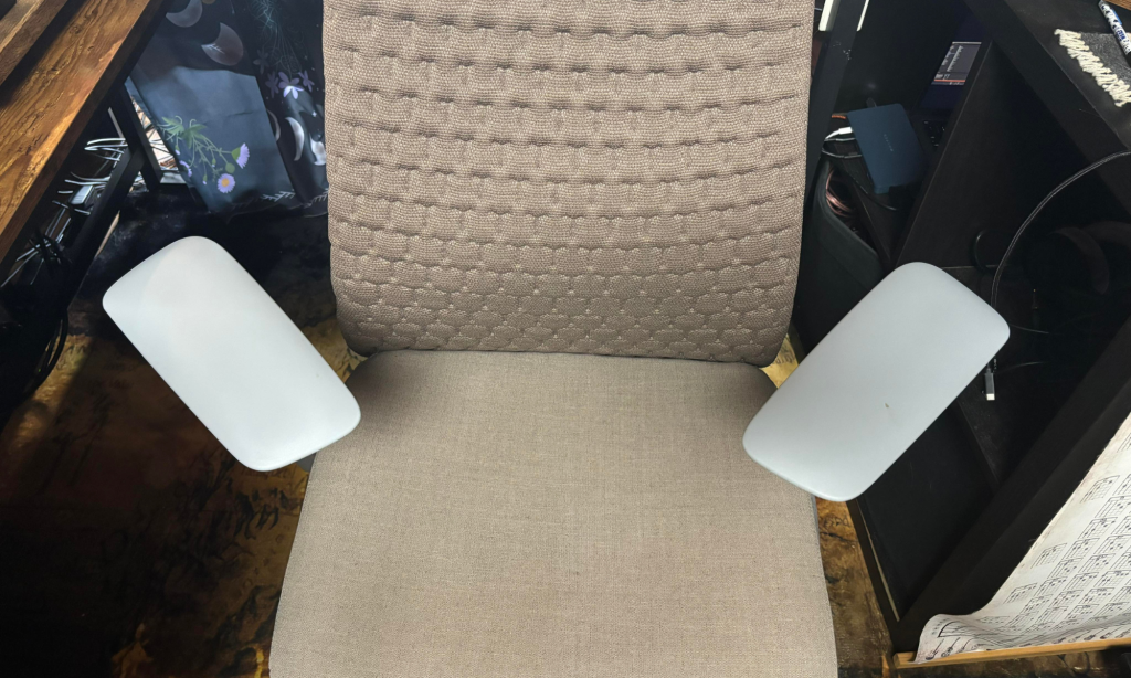 Fern Office Chair Review