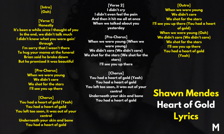 Shawn Mendes Heart of Gold Lyrics and Meaning: Pop Culture Connections ...