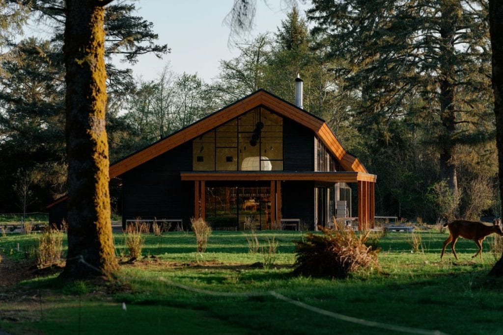 You Haven’t Camped Properly Until You’ve Tried These Spring Essentials