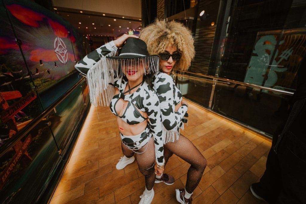 Groove Cruise 2026