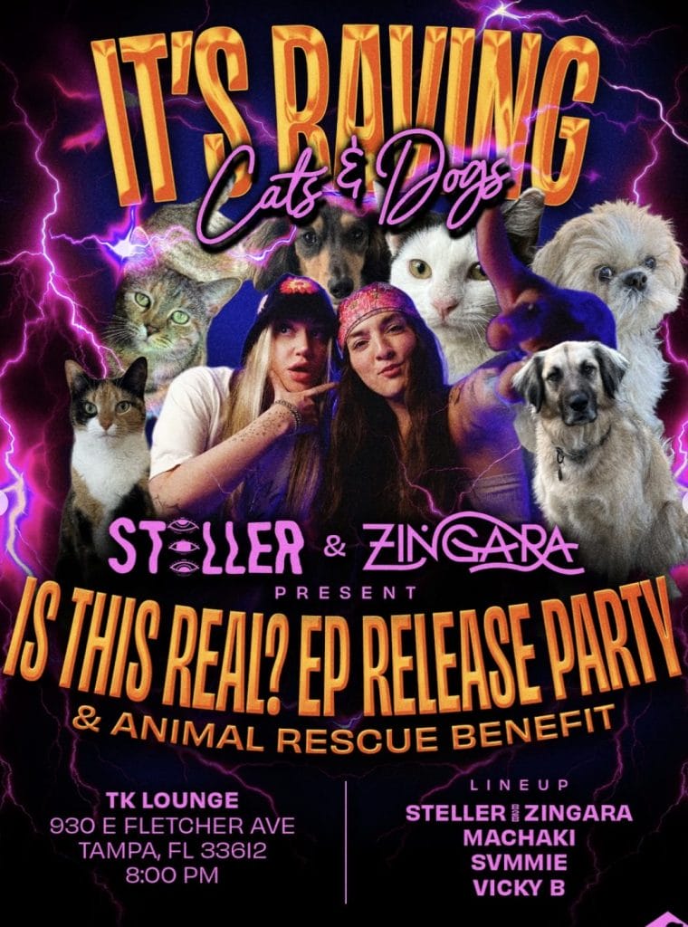 Steller, Zingara, Is This Real?, EP, new music