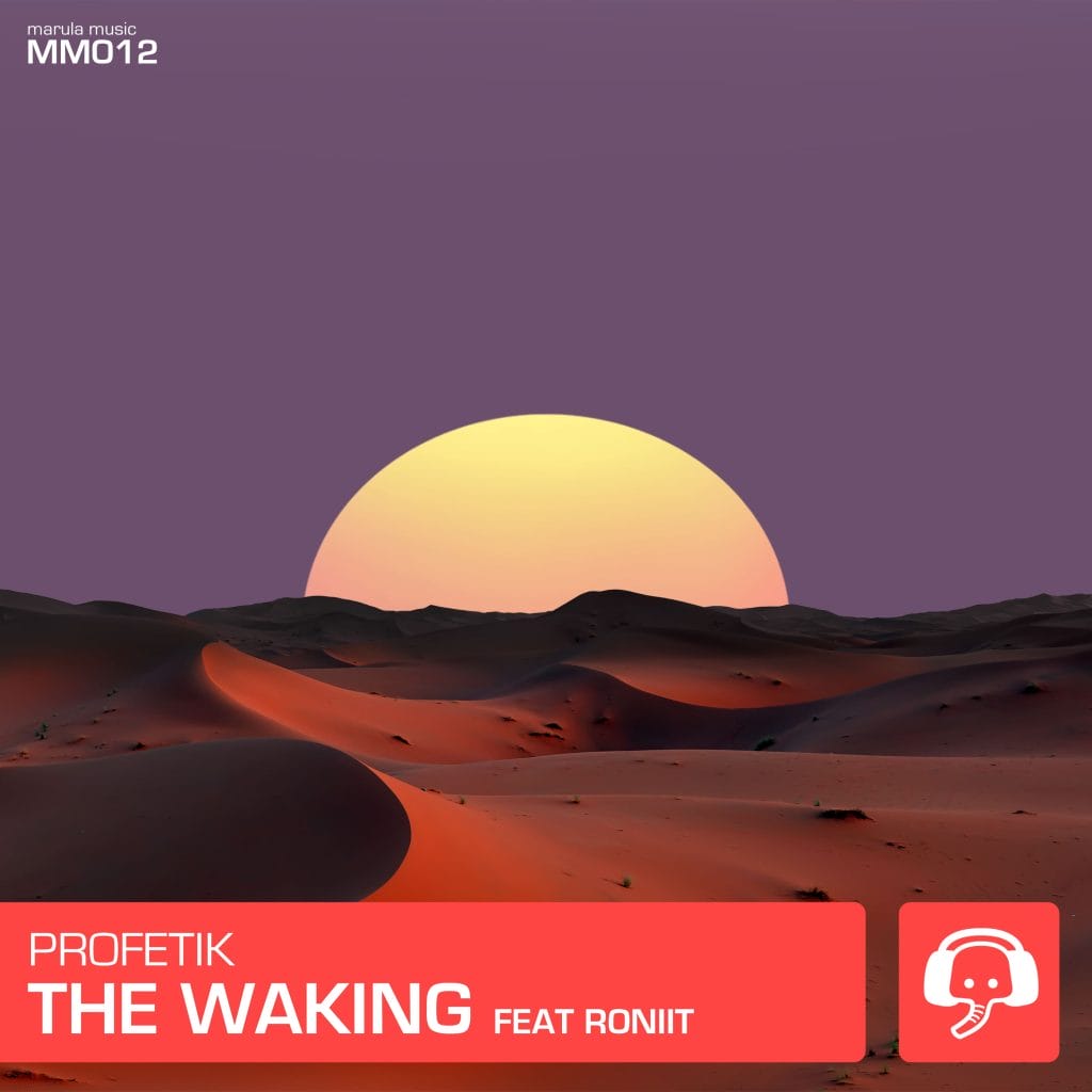 The Introspective Dynamics And Dancefloor Functionality Of Profetik And Roniit In “The Waking”